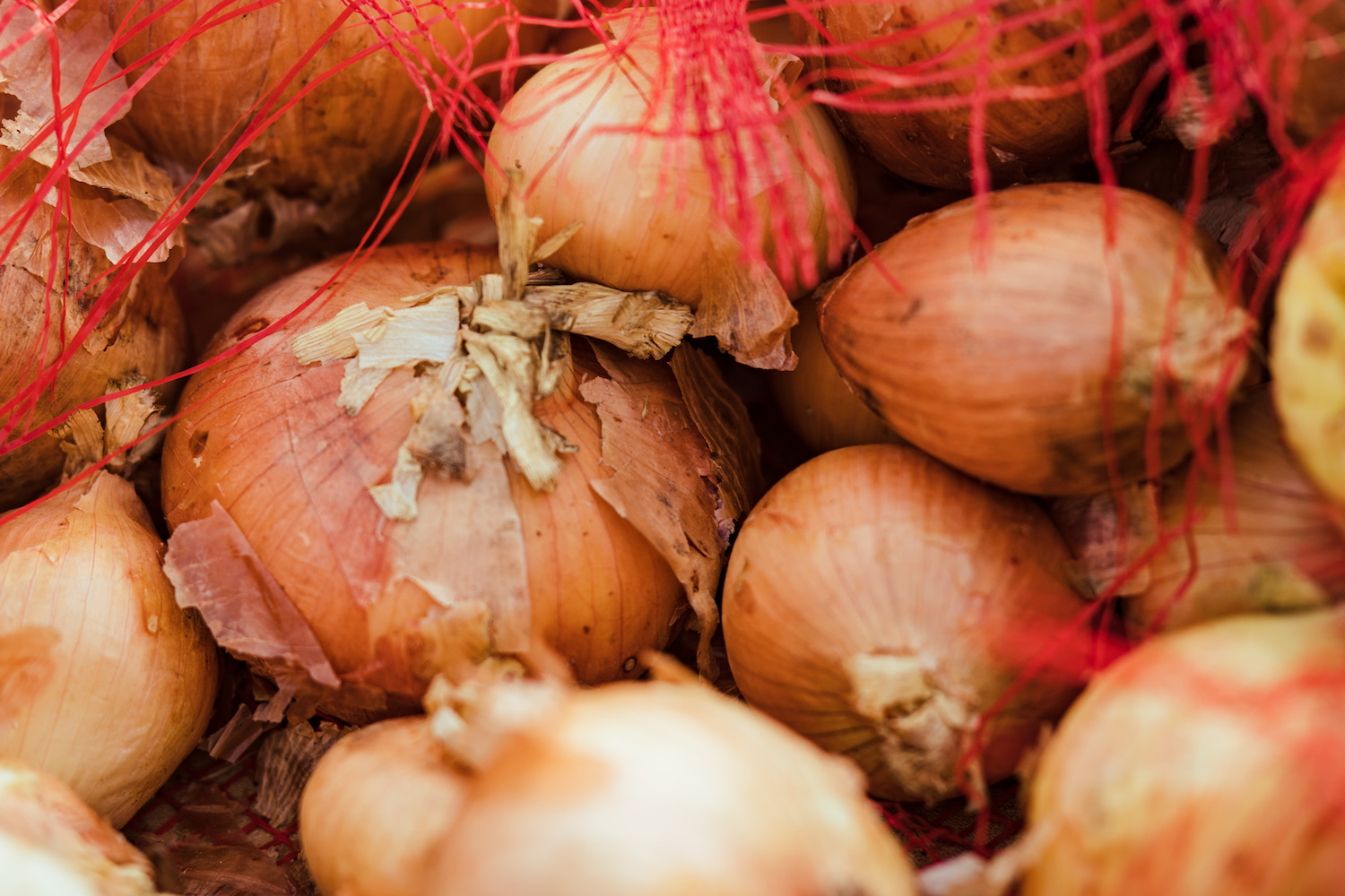 Close-up of bag of onions. Photo by Kris Rae Orlowski