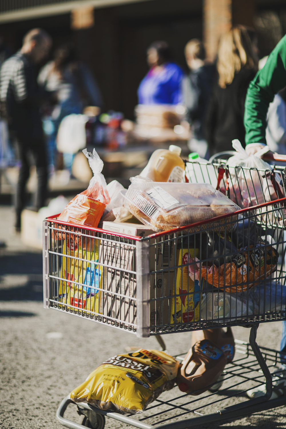 A person in a green long-sleeve shirt pushes a shopping cart full of assorted groceries