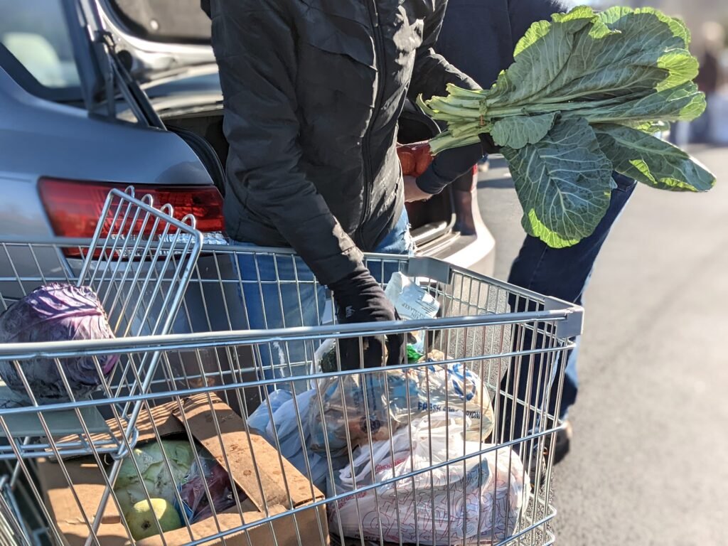 A volunteer loads collard greens into the trunk of a car at OneGenAway's mobile food pantry.