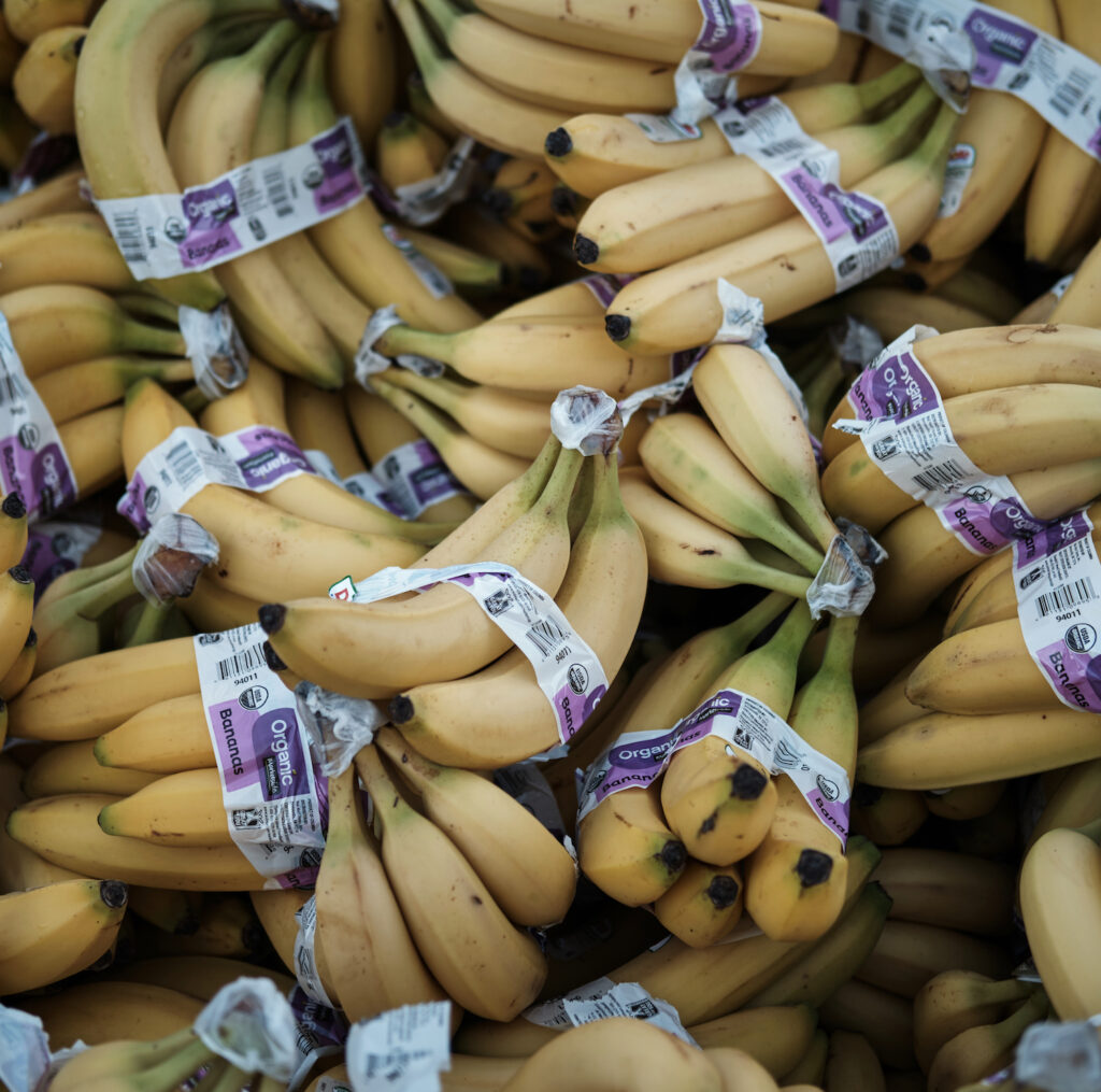 Pile of banana bunches